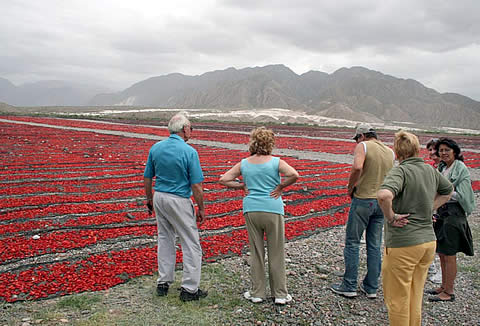Parque Nacional Sierra de Las Quijadas